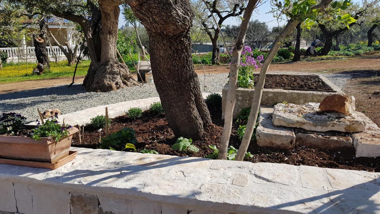 Gasthaus Il Trullo Di Nonna Lella Castellana Grotte Exterior foto